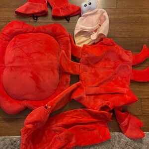 Sebastian 2T Disney costume